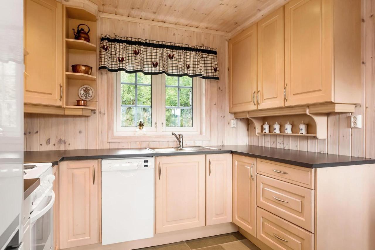 Reveenka - Cabin In Trysil With Jacuzzi For Rent Extérieur photo