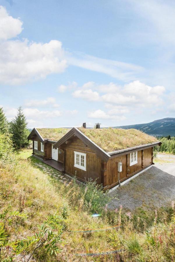 Reveenka - Cabin In Trysil With Jacuzzi For Rent Extérieur photo