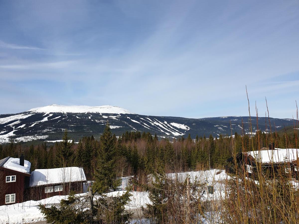 Reveenka - Cabin In Trysil With Jacuzzi For Rent Extérieur photo
