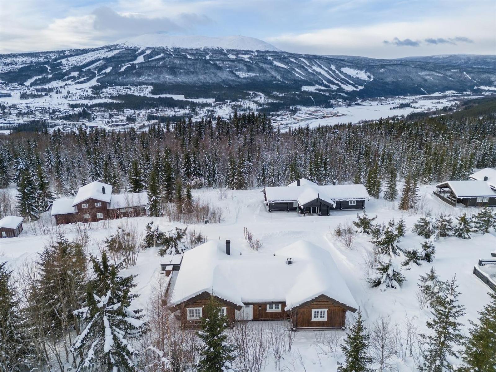 Reveenka - Cabin In Trysil With Jacuzzi For Rent Extérieur photo
