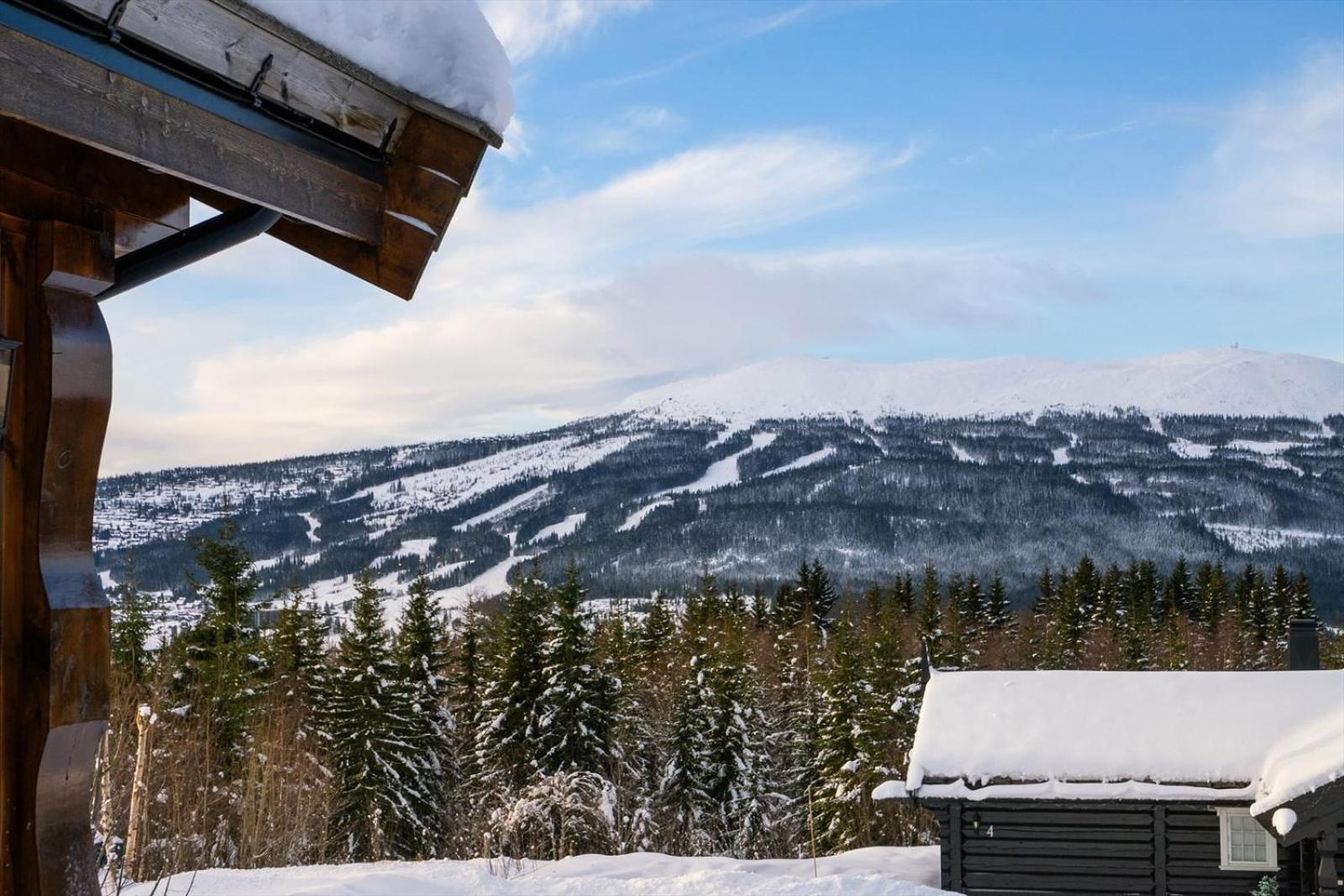 Reveenka - Cabin In Trysil With Jacuzzi For Rent Extérieur photo